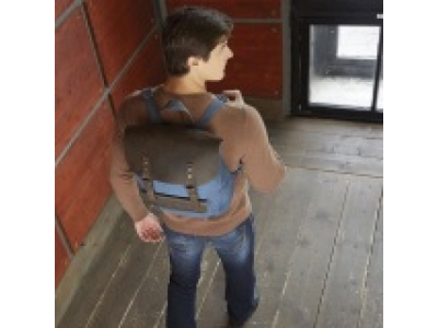 Рюкзак Lexus Backpack, Casual, Green-Brown, артикул LMCC00027L от LEXUS Рюкзак Lexus Backpack, Casual, Green-Brown, артикул LMCC00027L